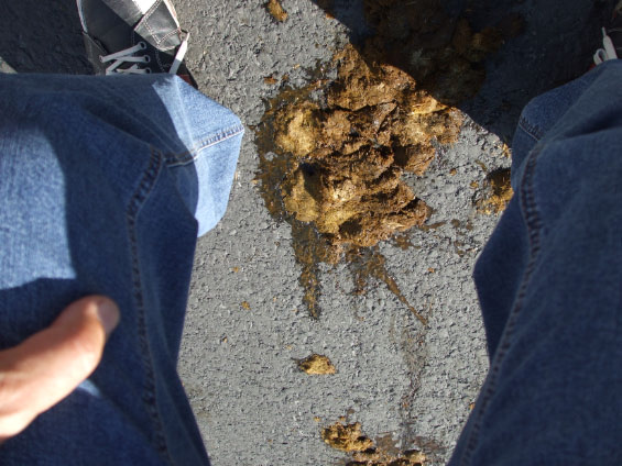 Kirmes=20Wahlscheid=202012=20059